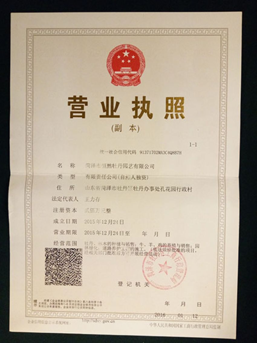 點(diǎn)擊查看詳細(xì)信息<br>標(biāo)題：營業(yè)執(zhí)照 閱讀次數(shù)：1261