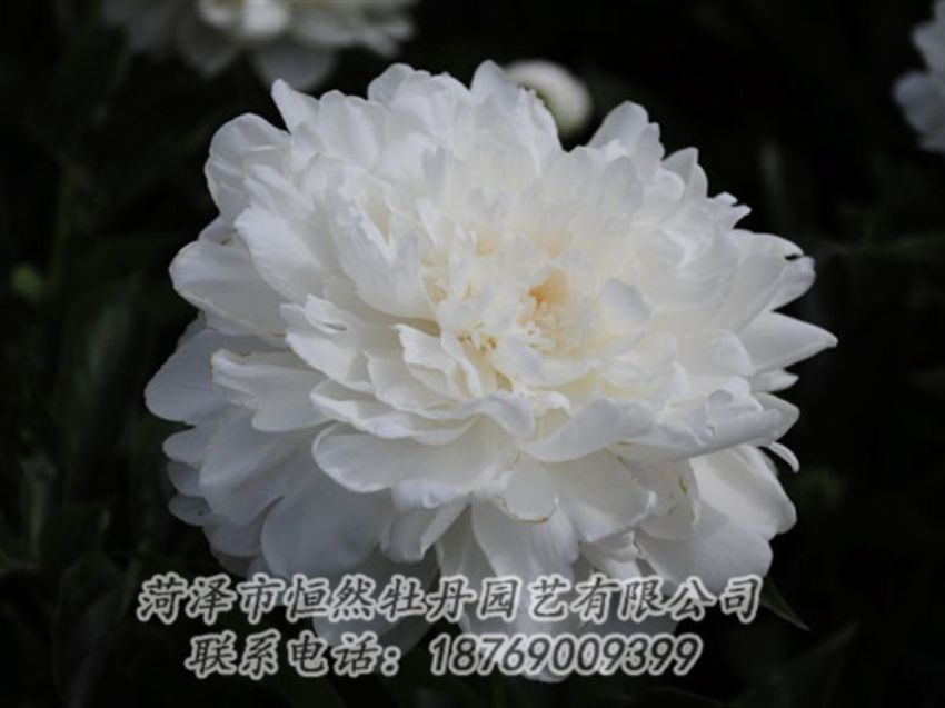 點(diǎn)擊查看詳細(xì)信息<br>標(biāo)題：白色 閱讀次數(shù)：1209