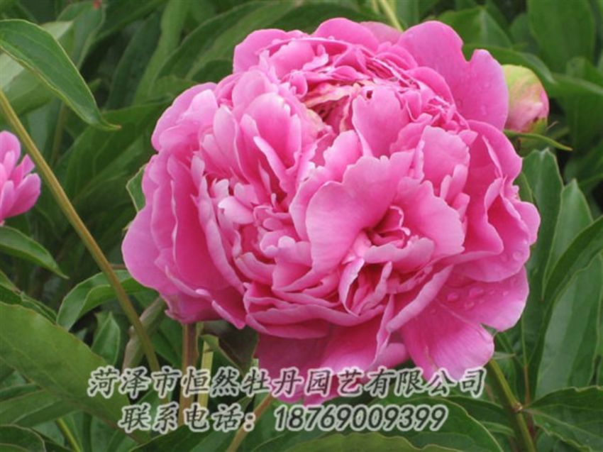 點(diǎn)擊查看詳細(xì)信息<br>標(biāo)題：月照山河 閱讀次數(shù)：1038